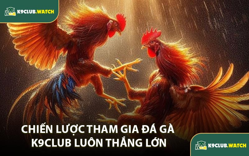 Chiến Lược Tham Gia Đá Gà K9CLUB Luôn Thắng Lớn