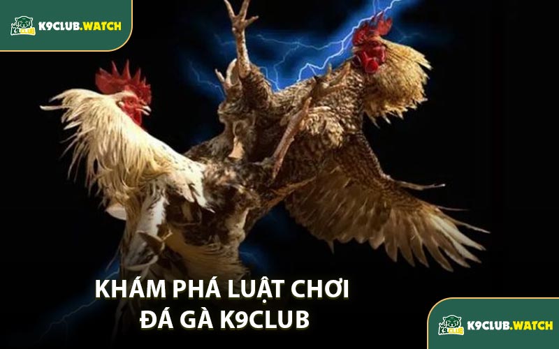Khám Phá Luật Chơi Đá Gà K9CLUB