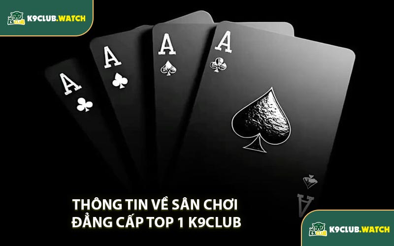 Thông tin về sân chơi đẳng cấp top 1 K9CLUB