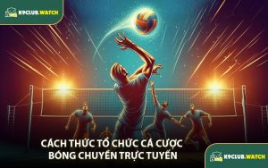 Cách Thức Tổ Chức Cá Cược Bóng Chuyền Trực Tuyến