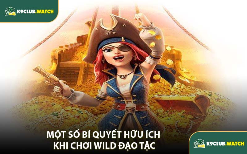 Một Số Bí Quyết Hữu Ích Khi Chơi Wild Đạo Tặc